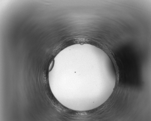 X0000059060715200510212027