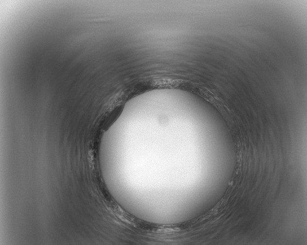 X0000059060716200510212027