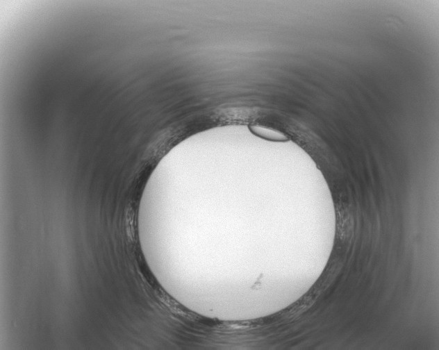 X0000059060718200510212027