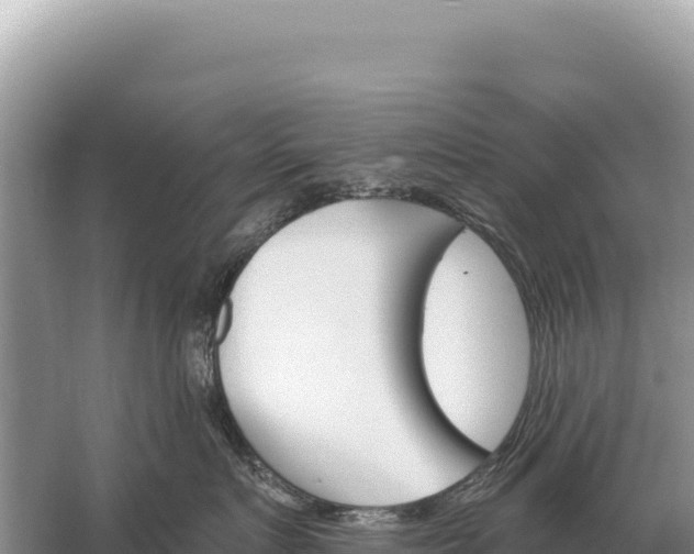 X0000059060719200510212027