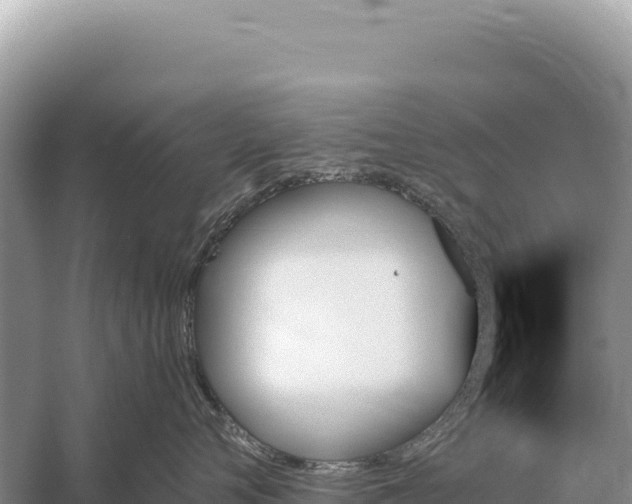 X0000059060720200510212027