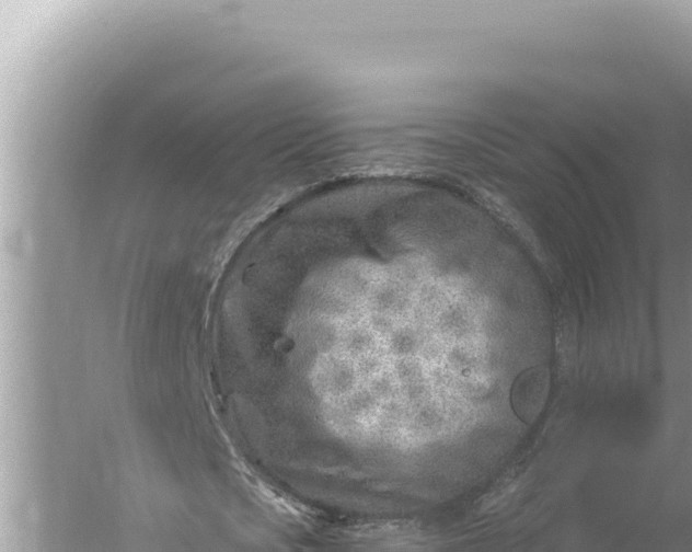 X0000059060721200510212026