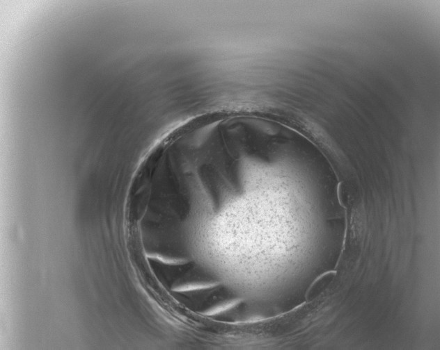 X0000059060722200510212026