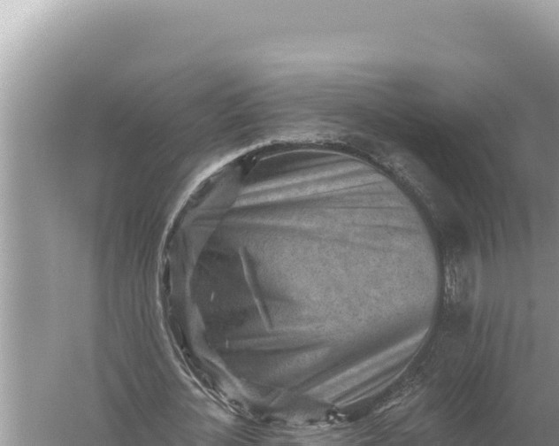 X0000059060724200510212026