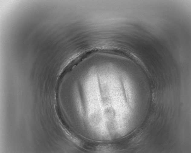 X0000059060725200510212026