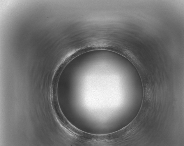 X0000059060726200510212026