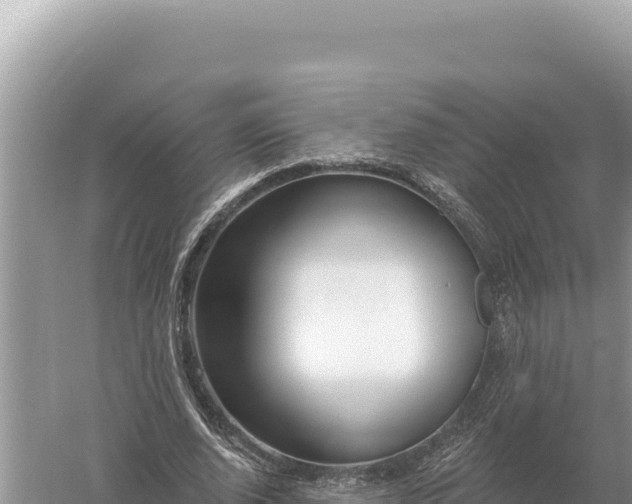 X0000059060728200510212026