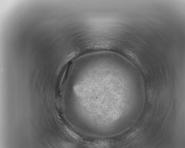 X0000059060729200510212026