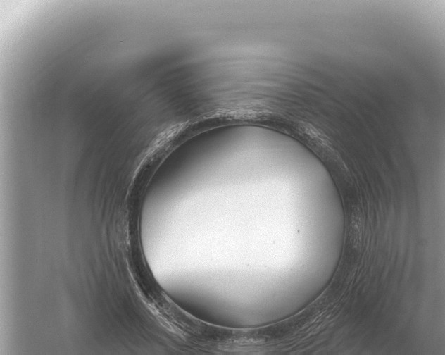 X0000059060734200510212026