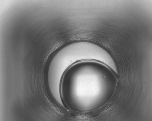 X0000059060735200510212026