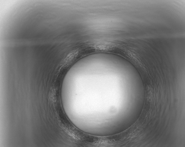 X0000059060738200510212026