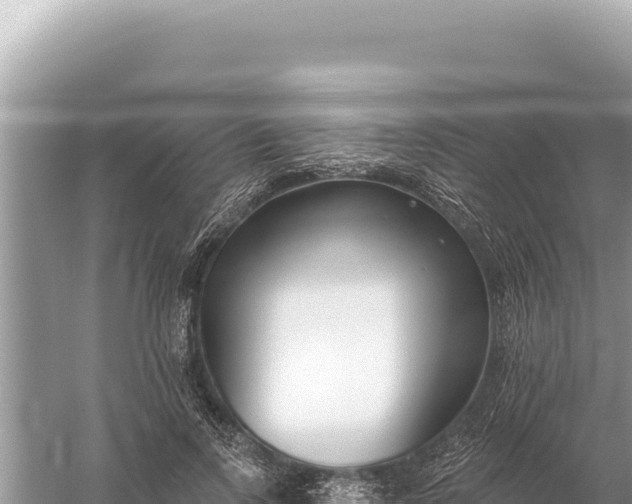 X0000059060742200510212026