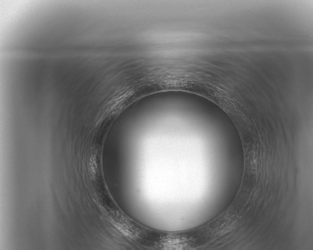 X0000059060746200510212026