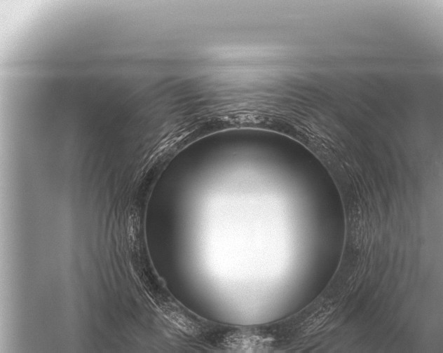 X0000059060747200510212026