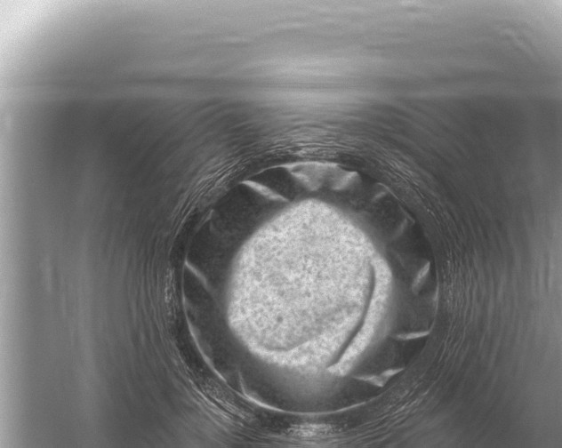 X0000059060748200510212026