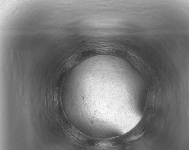 X0000059060749200510212026