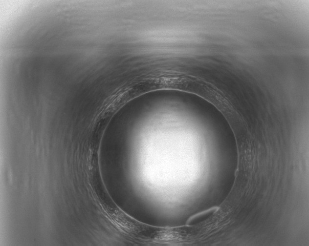 X0000059060750200510212026