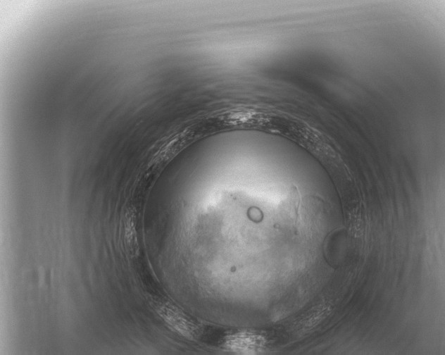 X0000059060754200510212026