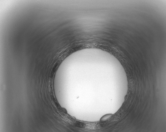 X0000059060757200510212026