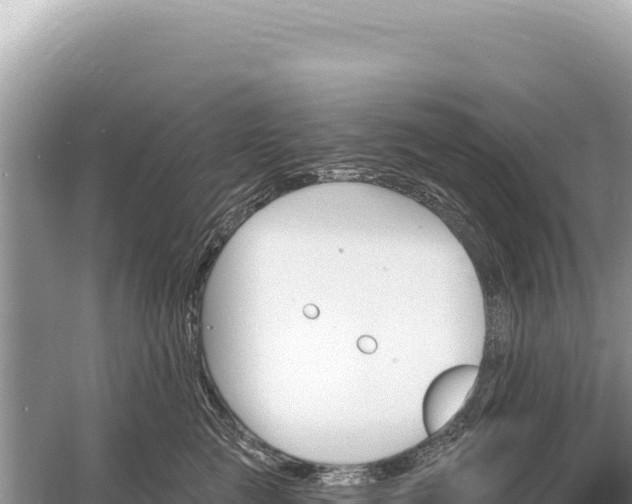 X0000059060761200510212026