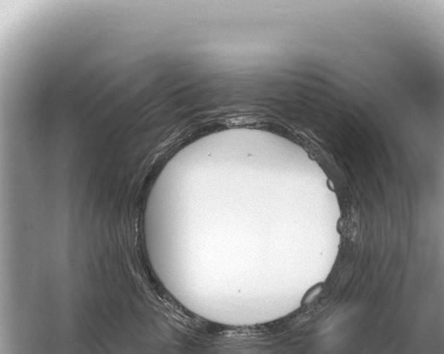 X0000059060763200510212026