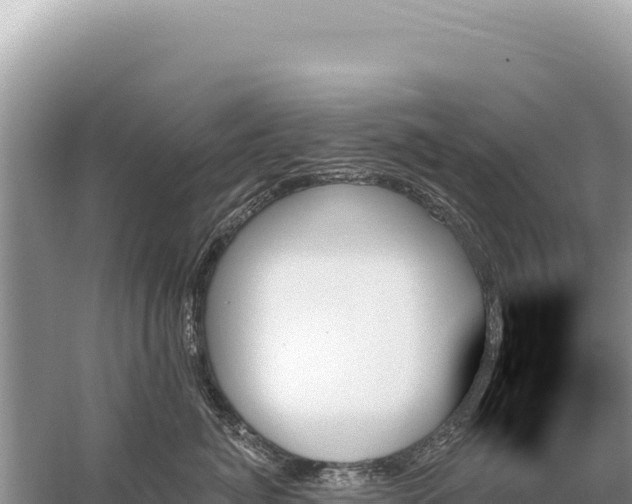 X0000059060764200510212026