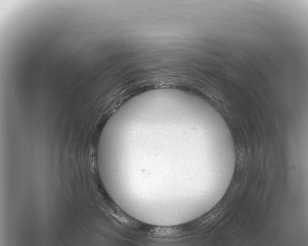 X0000059060766200510212027