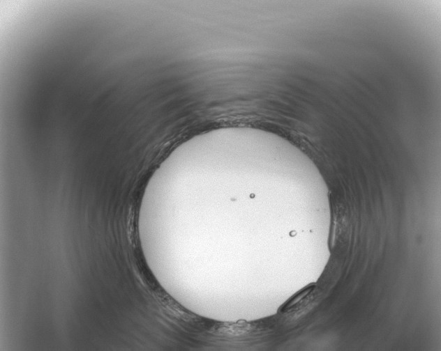 X0000059060767200510212027