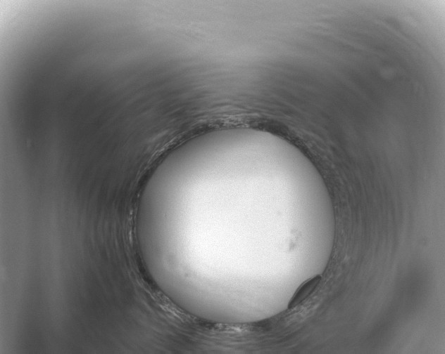 X0000059060768200510212027