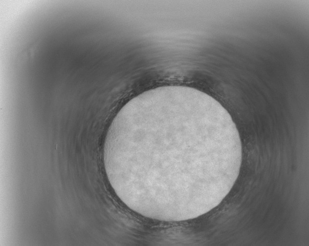 X0000059060769200510212026