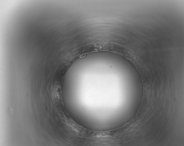 X0000059060770200510212026