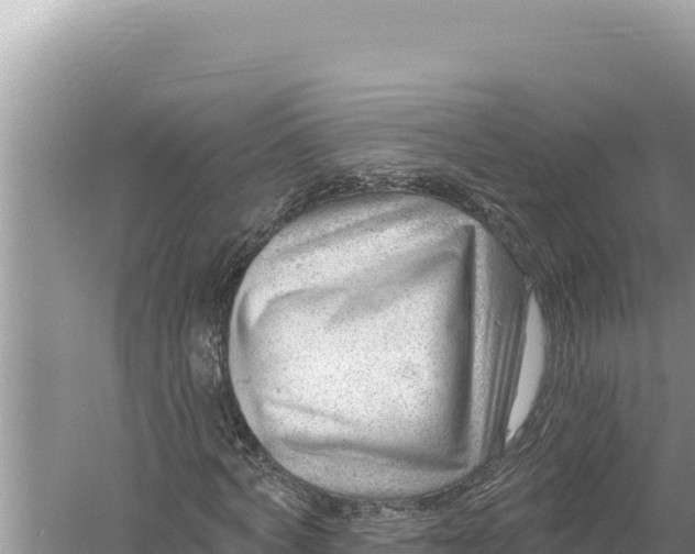 X0000059060772200510212026