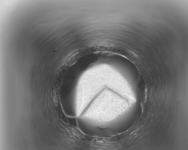 X0000059060774200510212026