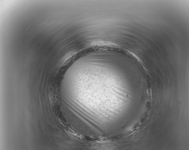 X0000059060775200510212026