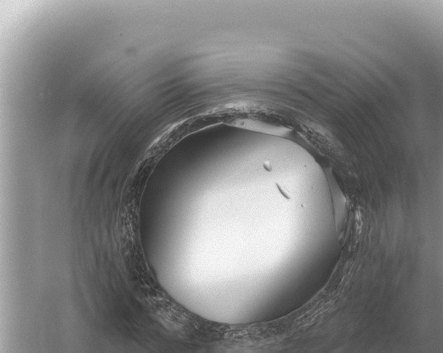 X0000059060776200510212026