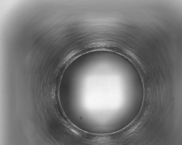 X0000059060778200510212026