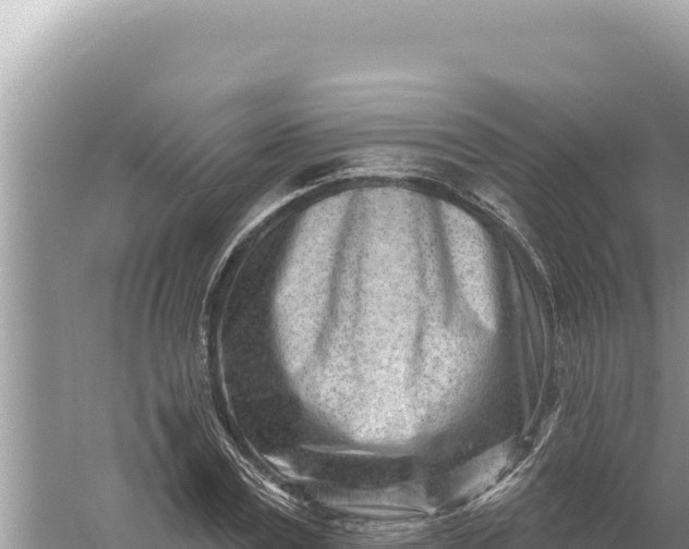 X0000059060779200510212026