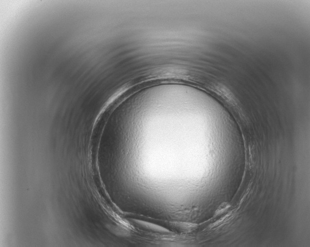 X0000059060780200510212026