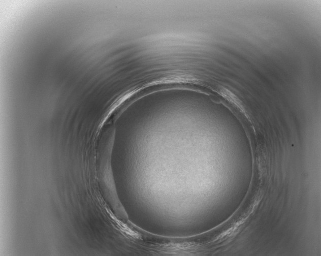 X0000059060781200510212026