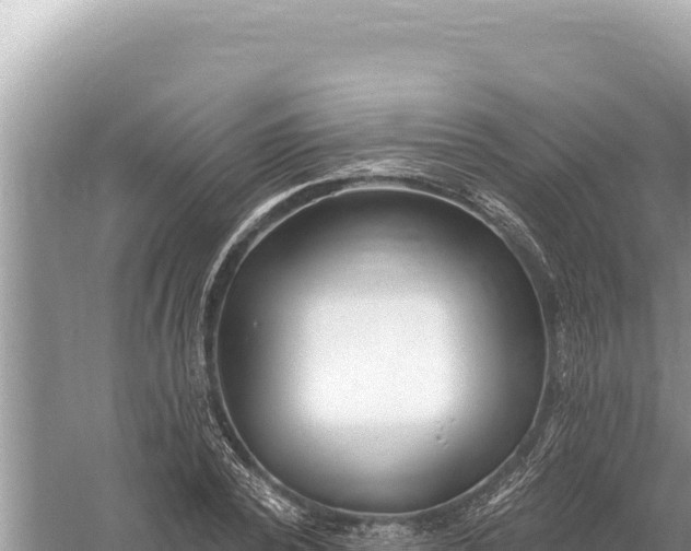 X0000059060784200510212025