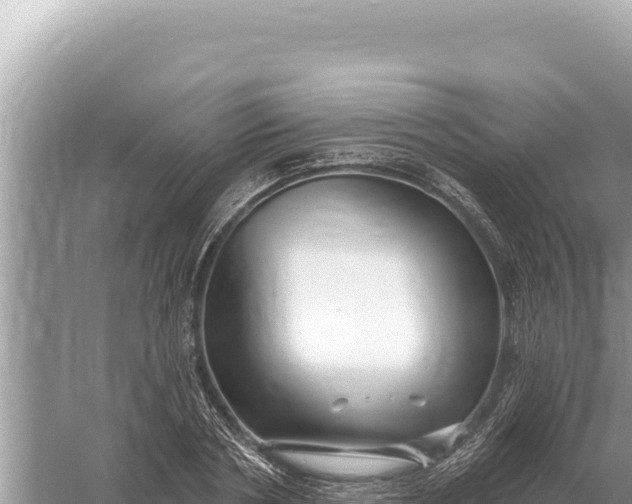 X0000059060786200510212025