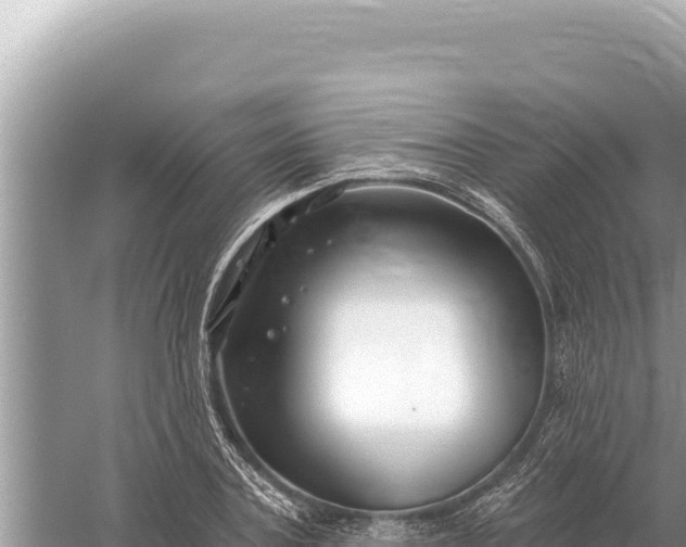 X0000059060787200510212025