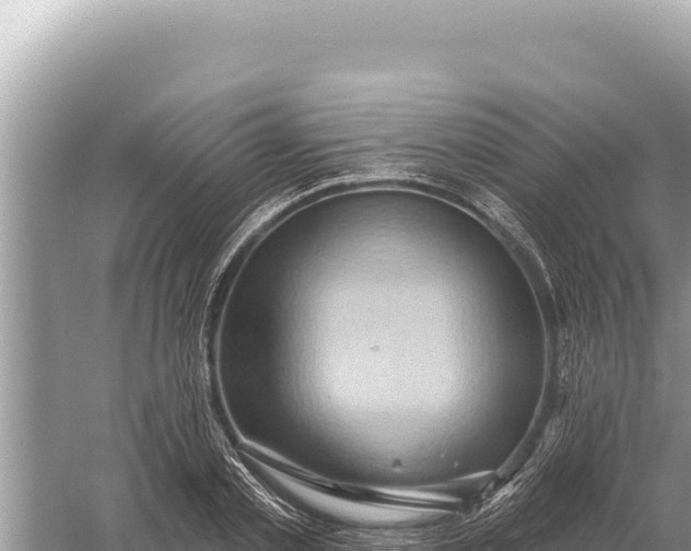 X0000059060789200510212025