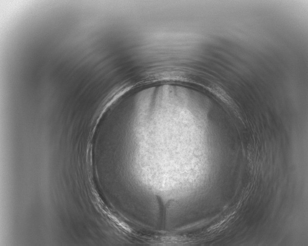 X0000059060790200510212025