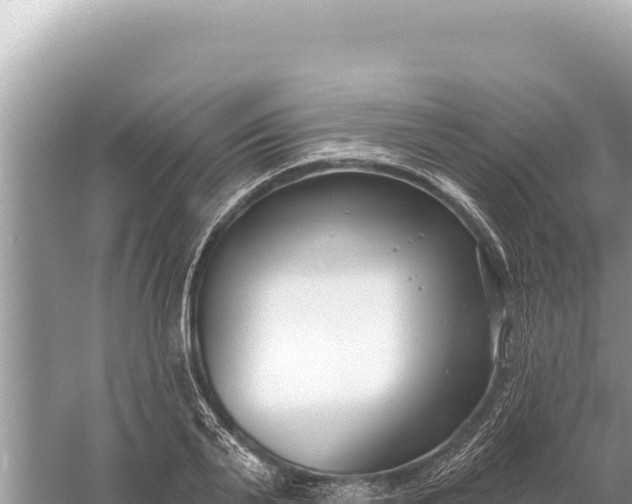 X0000059060791200510212025