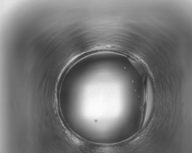 X0000059060792200510212025