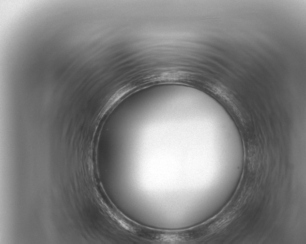 X0000059060794200510212025