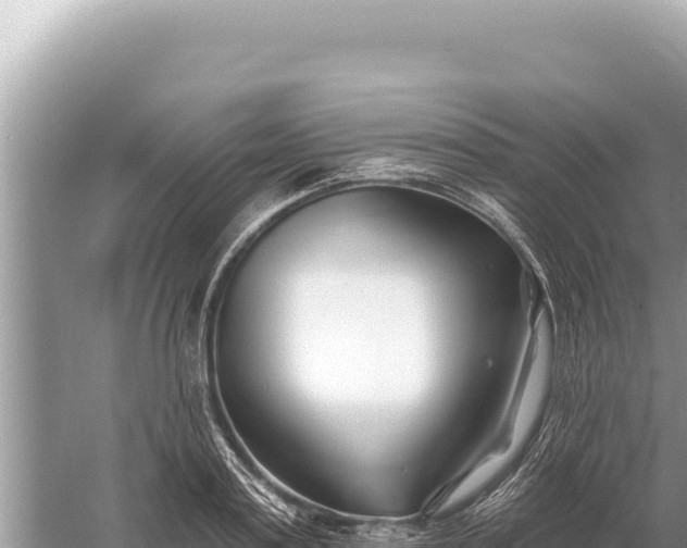 X0000059060795200510212025