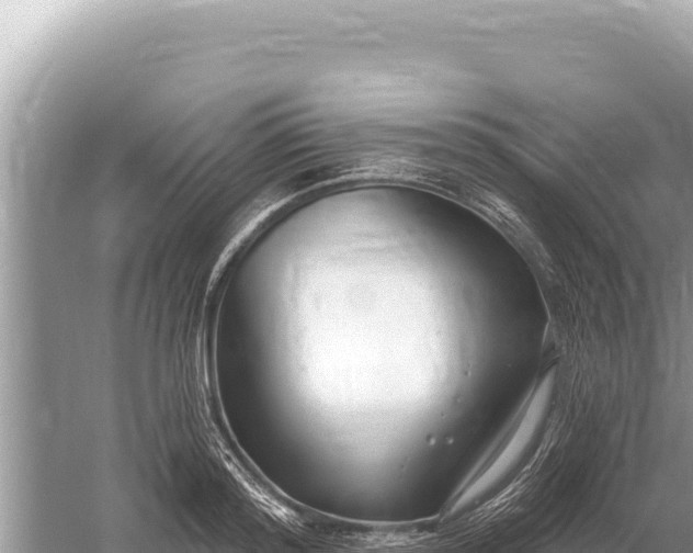 X0000059060796200510212025