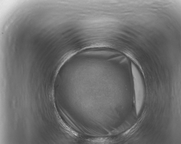 X0000059060797200510212025